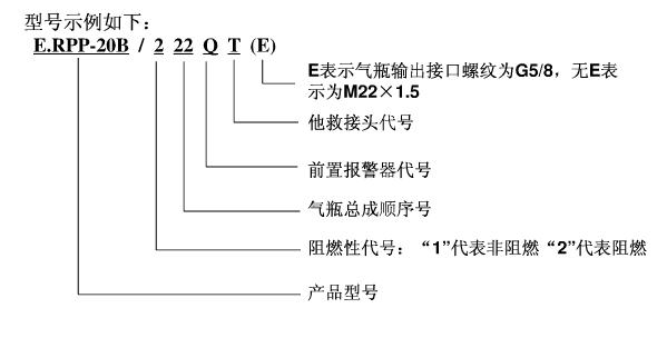 E.RPP20Bϵʾ